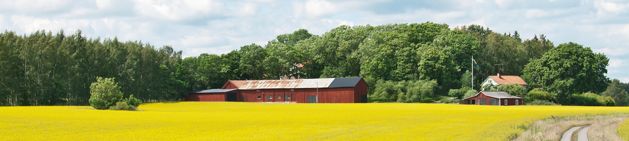 Naturbild på hus